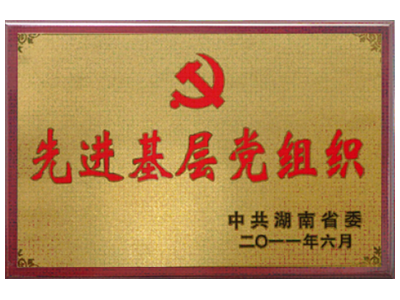湖南省先進(jìn)基層黨組織